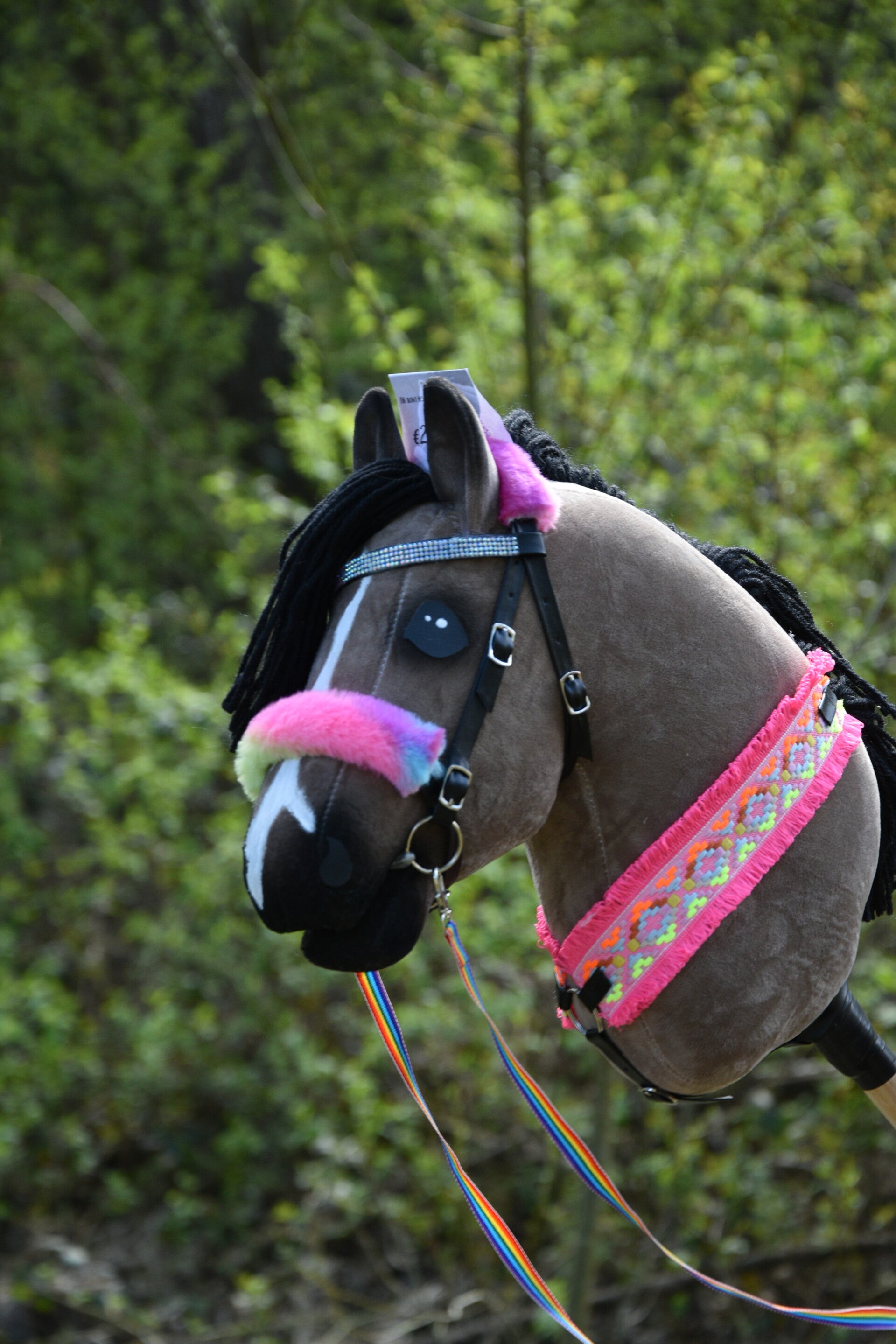 IW fur bridle deal - rainbow