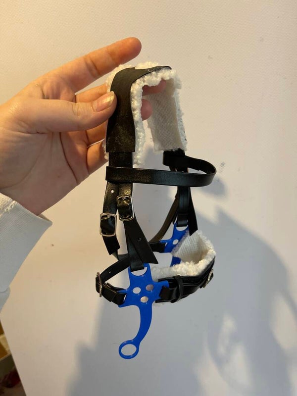 IW hackamore blue