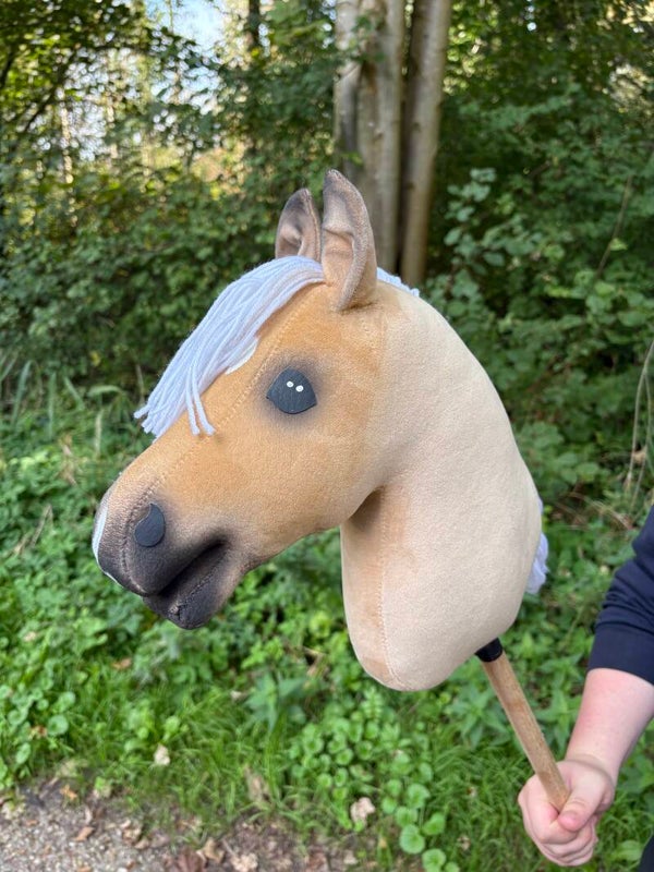 IW budget hobbyhorse - 91
