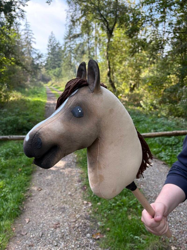 IW budget hobbyhorse - 90