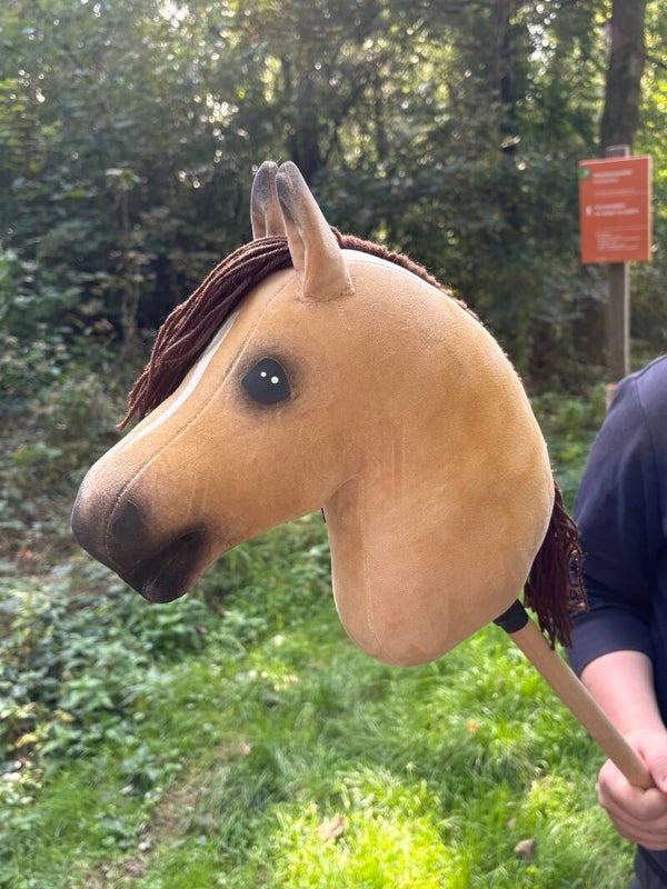 IW budget hobbyhorse - 89