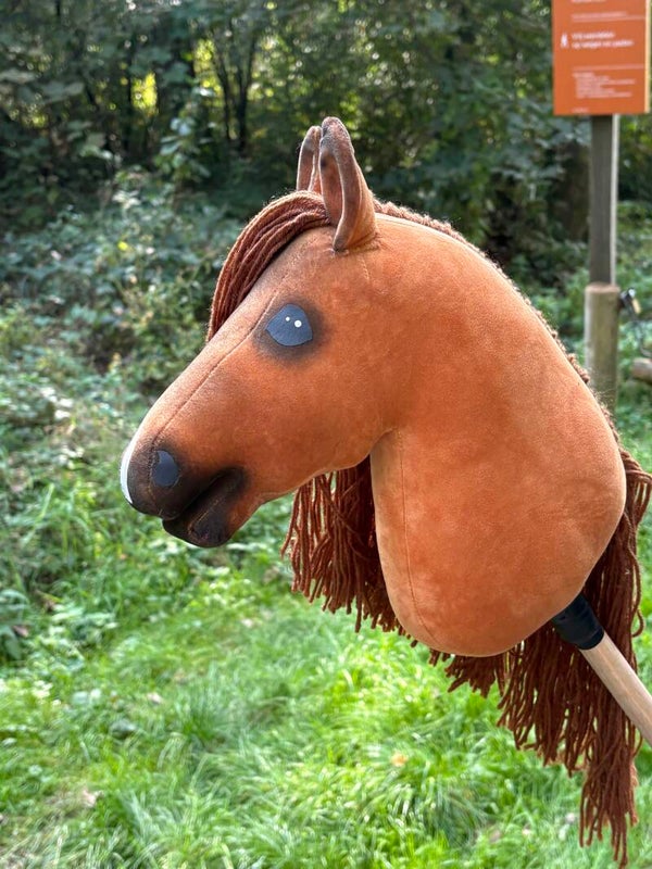 IW budget hobbyhorse - 87