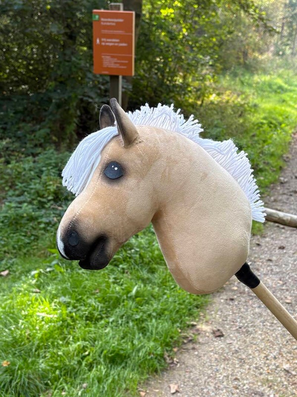 IW budget hobbyhorse - 86