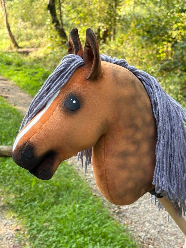 IW budget hobbyhorse - 85