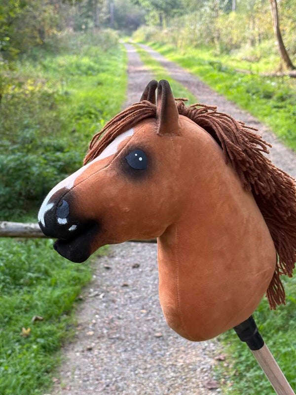 IW budget hobbyhorse - 84