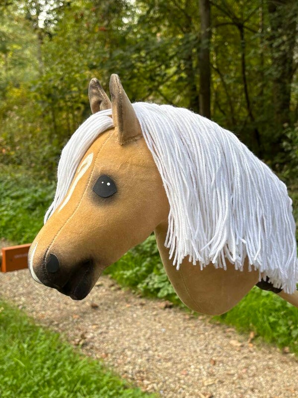 IW budget hobbyhorse - 81