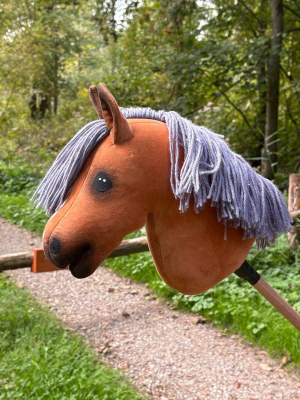 IW budget hobbyhorse - 80