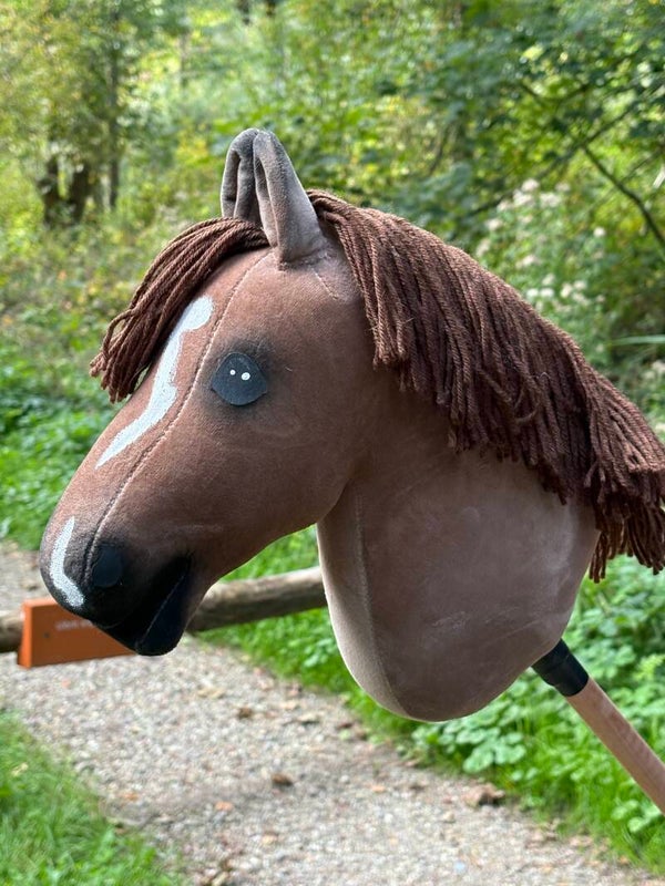IW budget hobbyhorse - 79