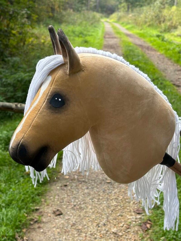 IW budget hobbyhorse - 78