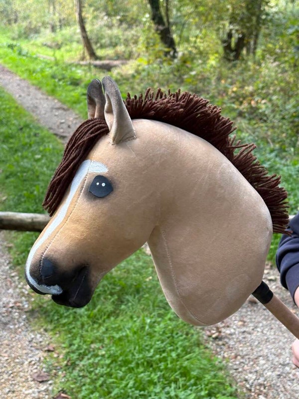 IW budget hobbyhorse - 77