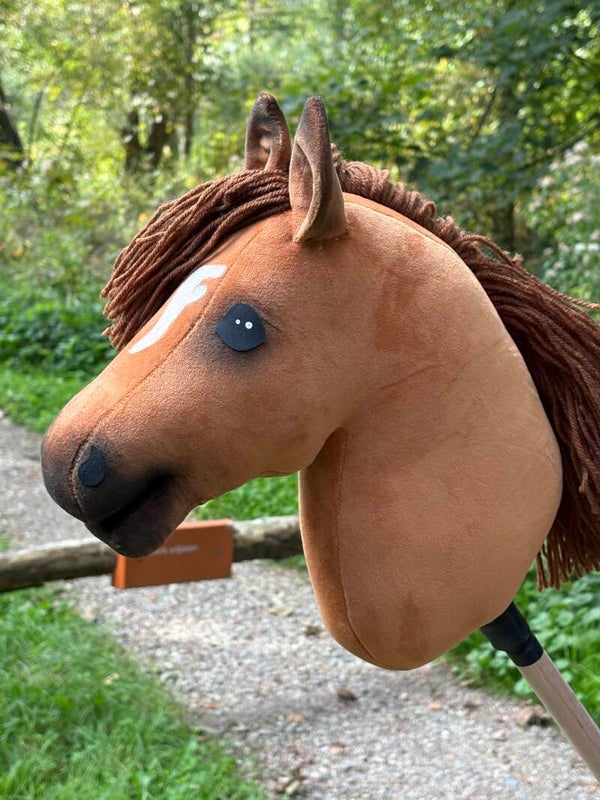 IW budget hobbyhorse - 76