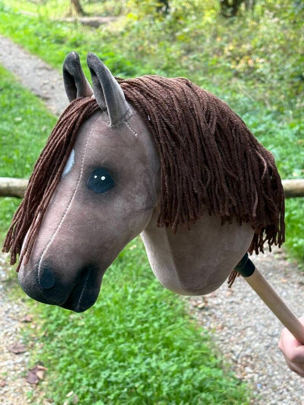 IW budget hobbyhorse - 75