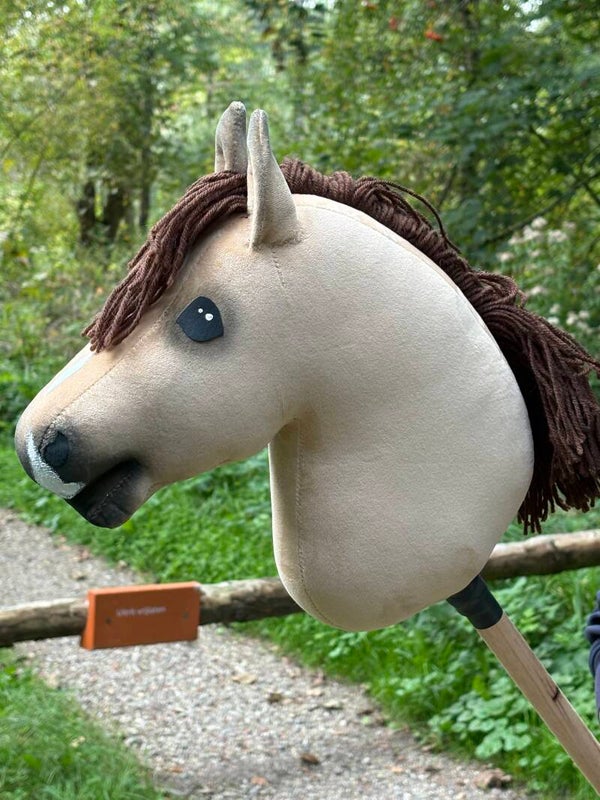 IW budget hobbyhorse - 73