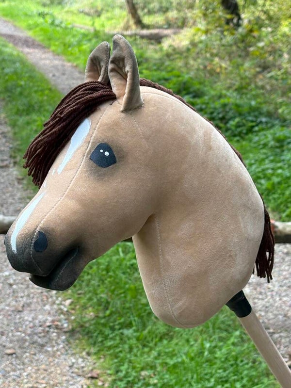 IW budget hobbyhorse - 72