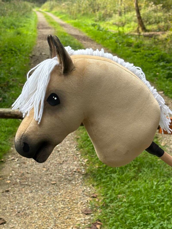 IW budget hobbyhorse - 71