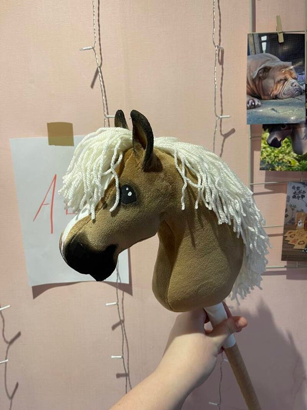 IW palomino foal