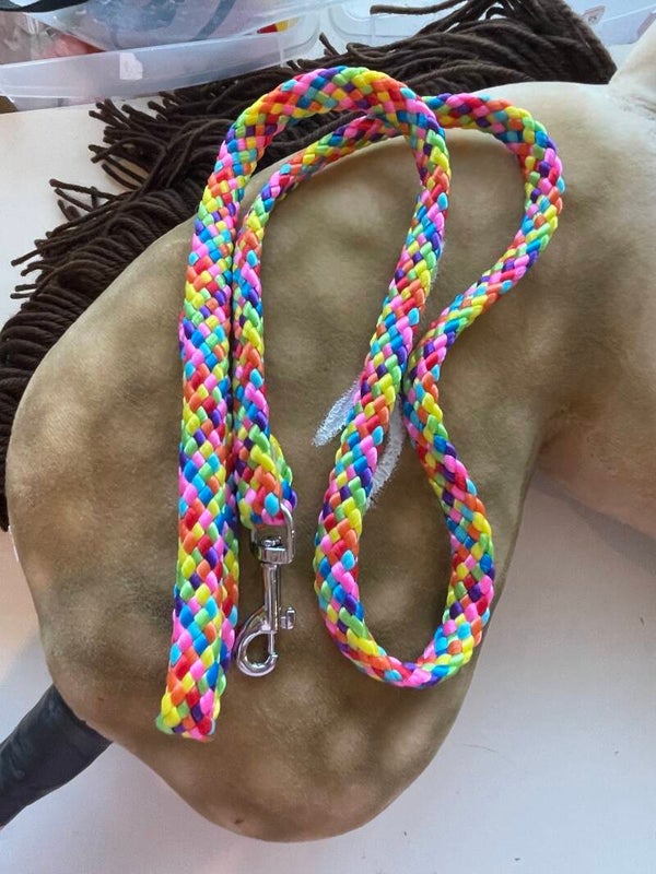 IW rainbow leadrope with silver clip