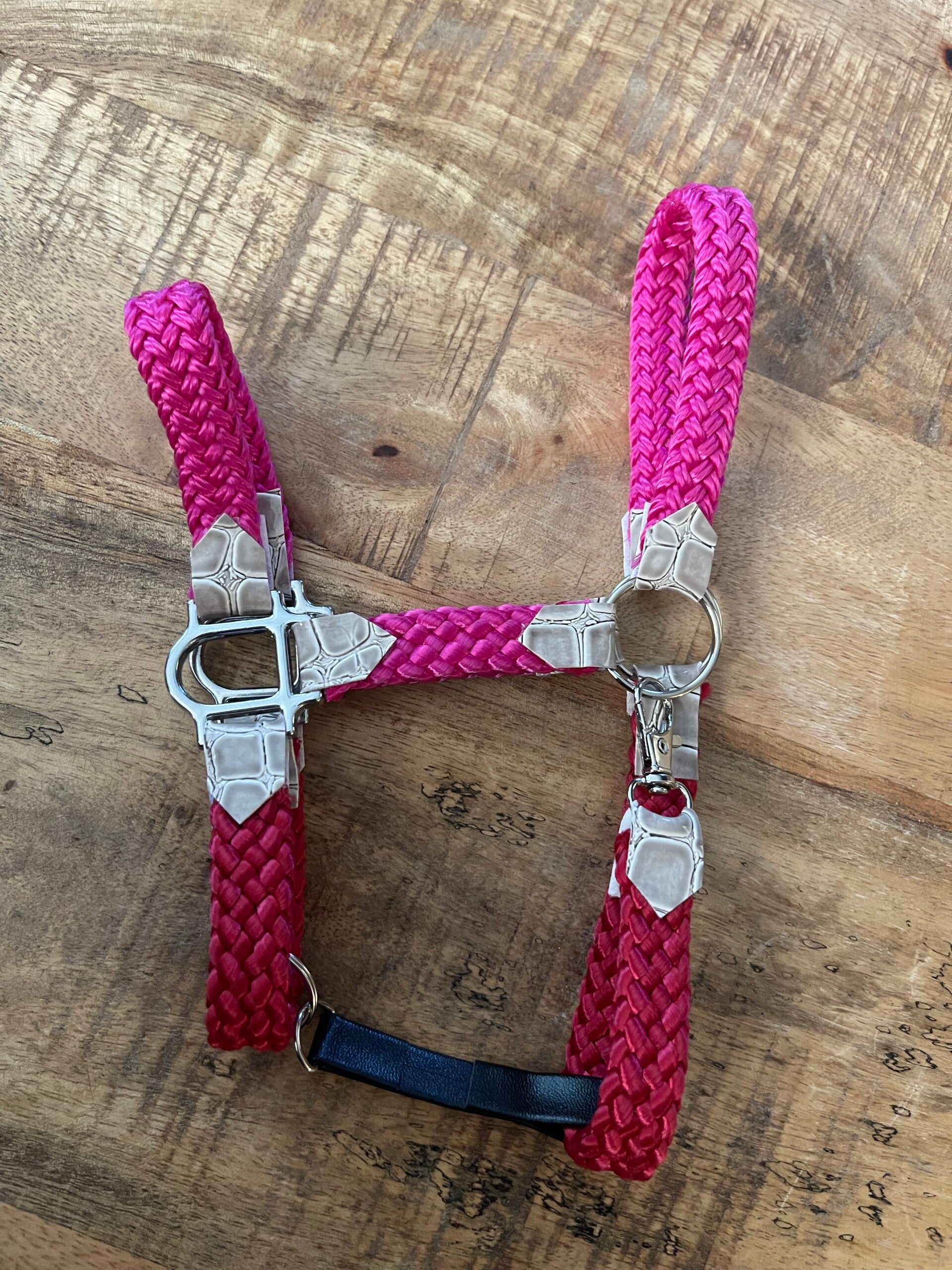 IW ppm halter red-pink croc