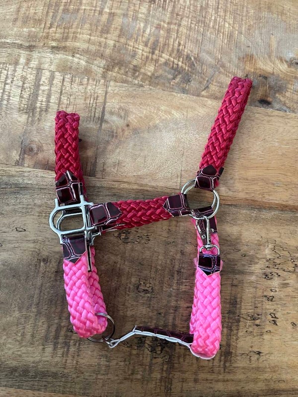 IW ppm halter pink croc