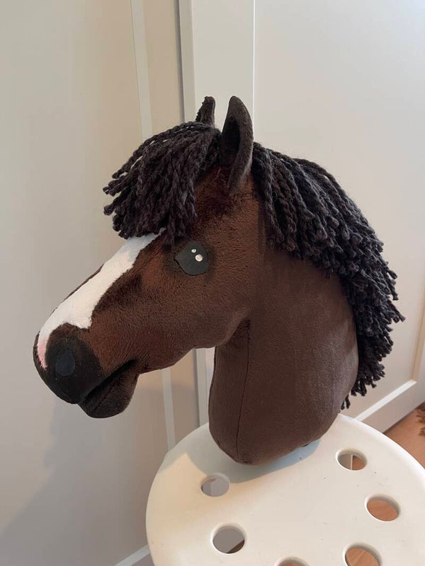 IW hobbyhorse sonic