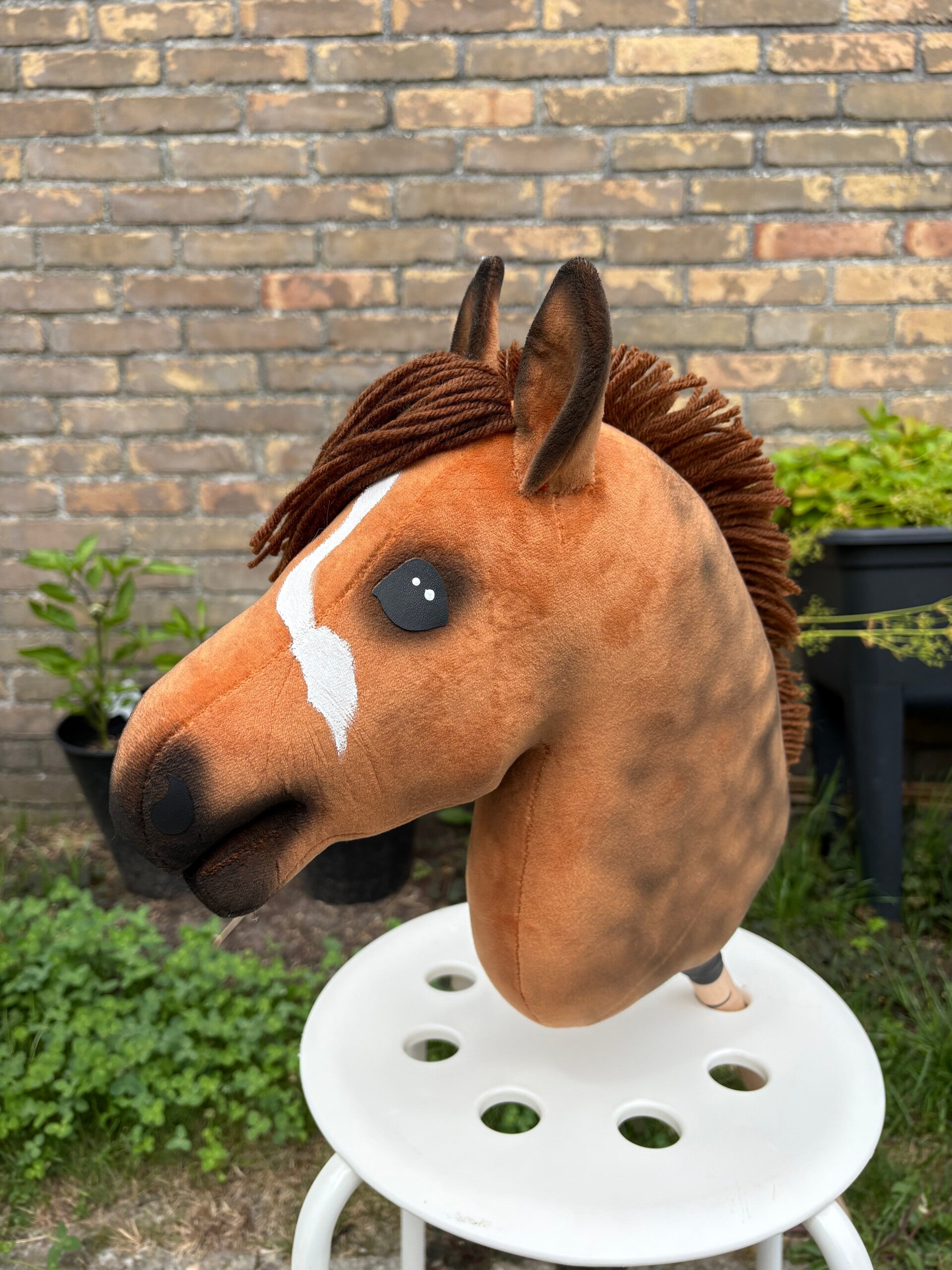IW budget hobbyhorse - 60