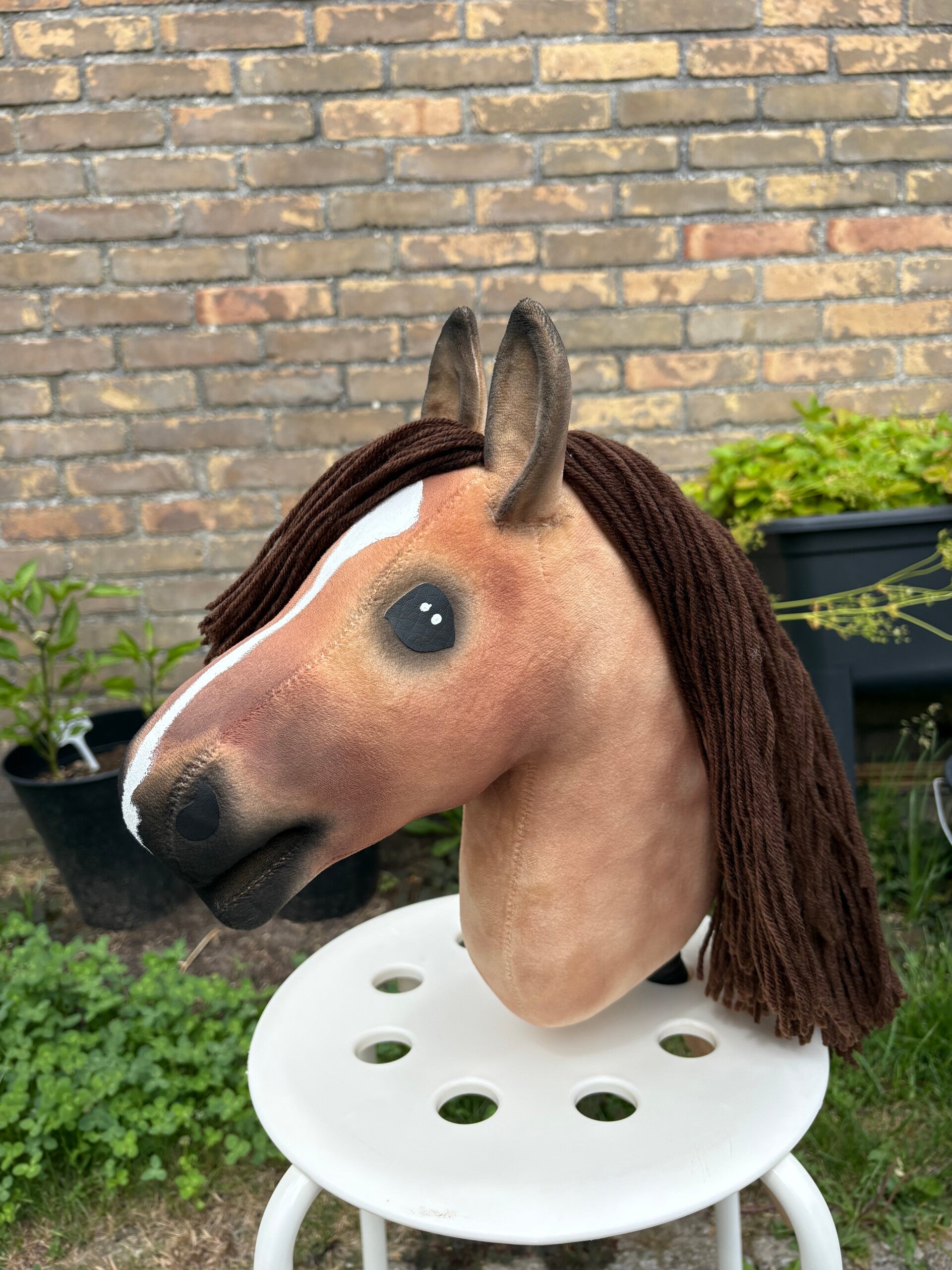 IW budget hobbyhorse - 59