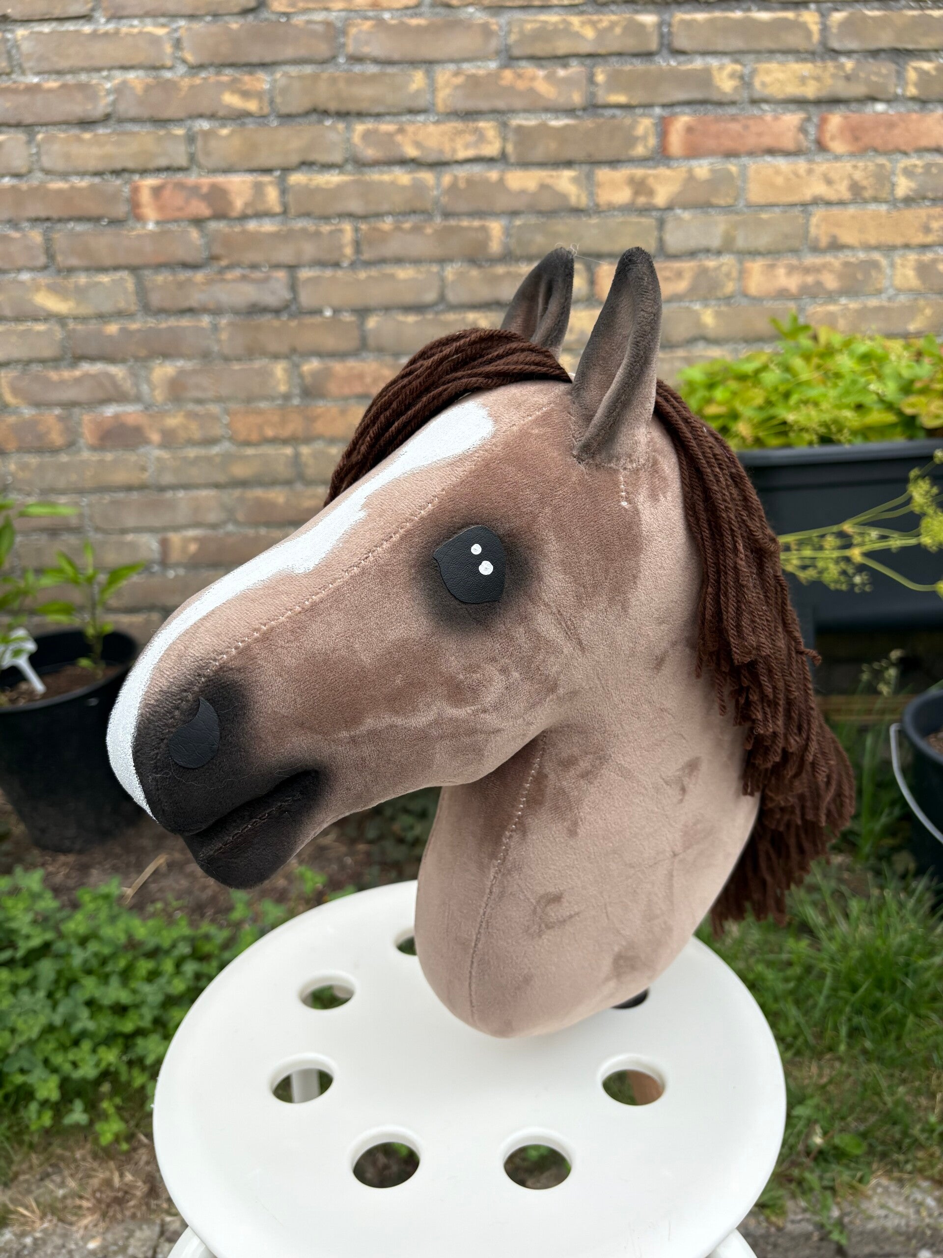 IW budget hobbyhorse - 58