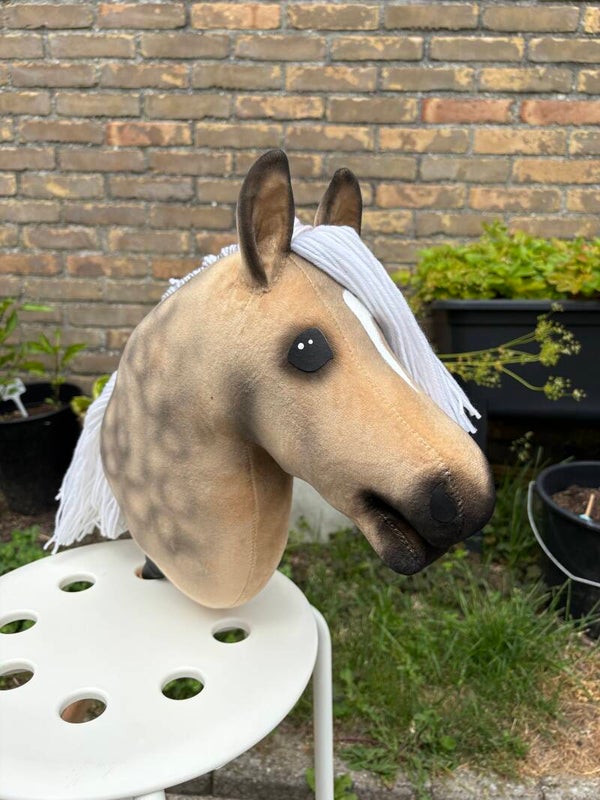 IW budget hobbyhorse - 55