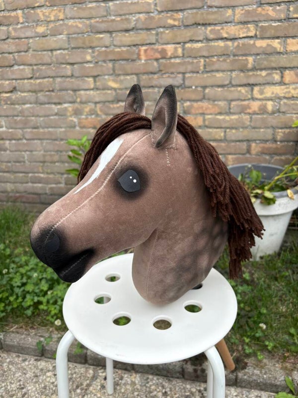IW budget hobbyhorse - 51
