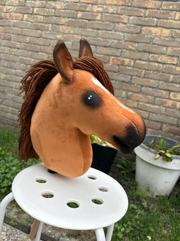 IW budget hobbyhorse - 48