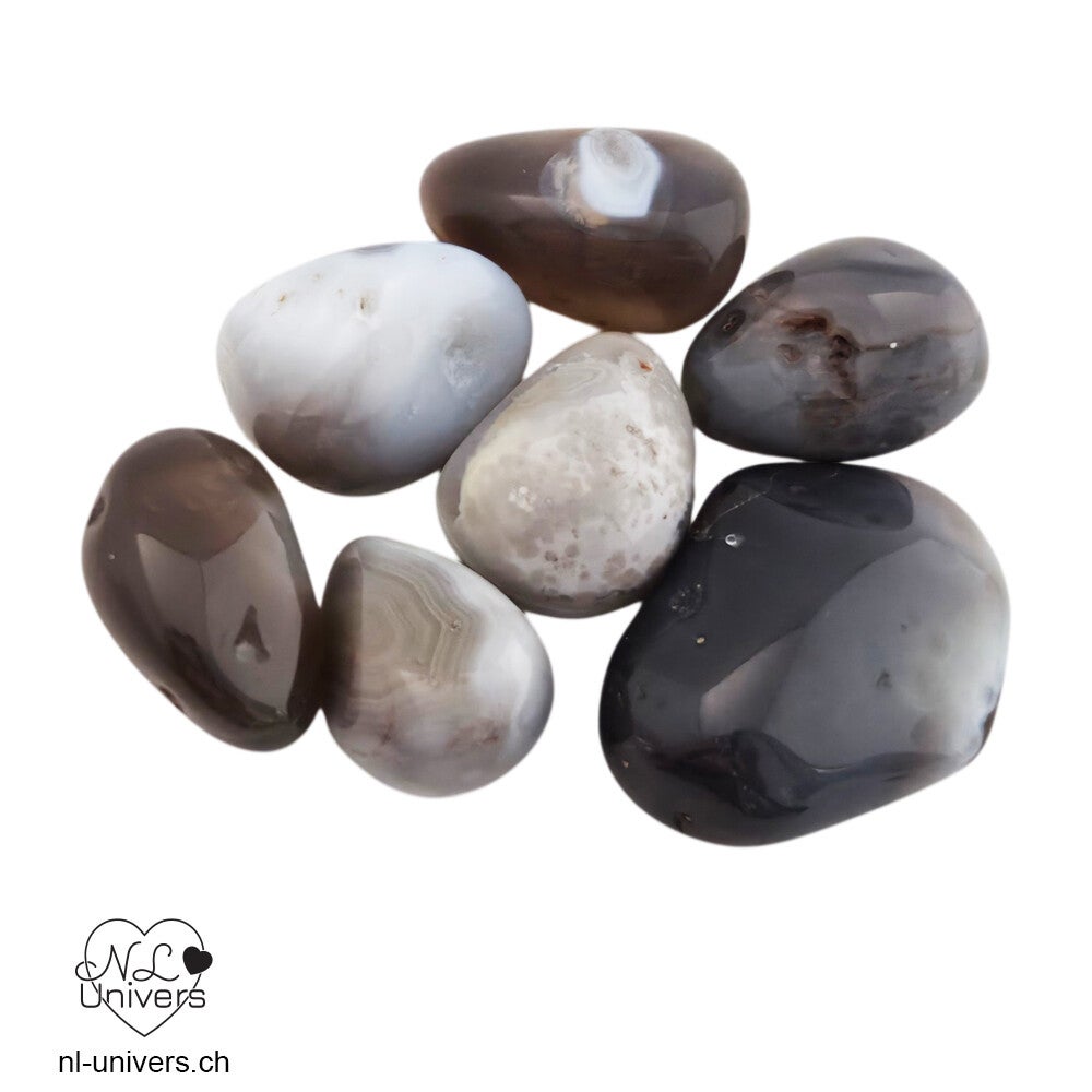 Agate Botswana roulée