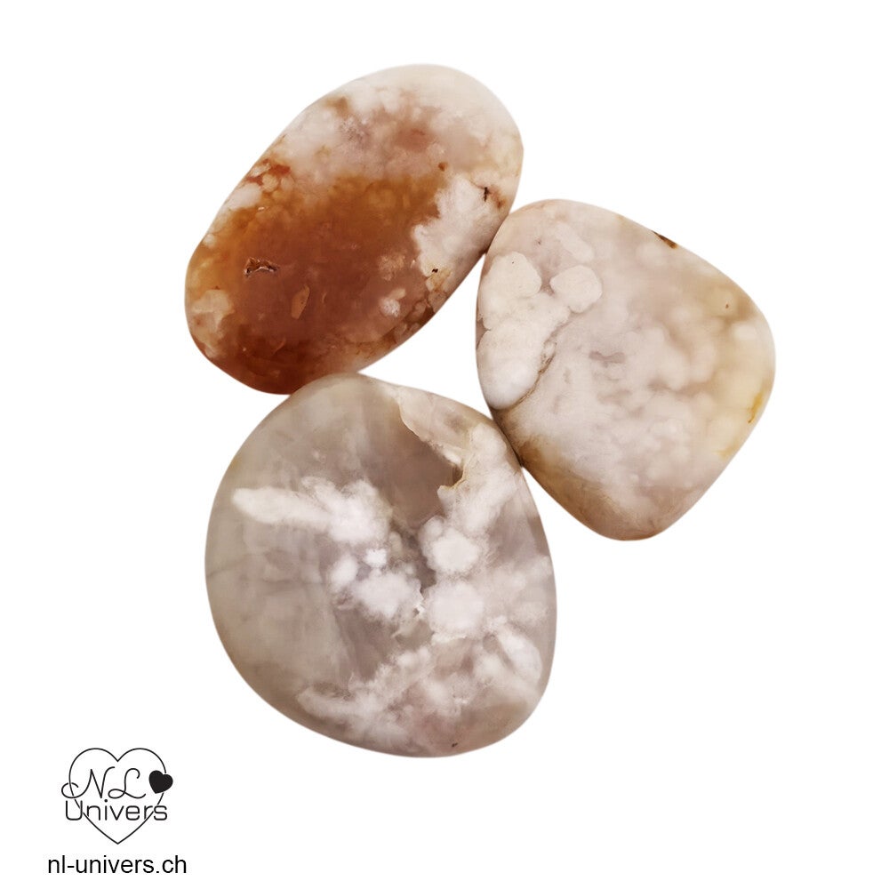 Agate cerise / Fleur de cerisier galet