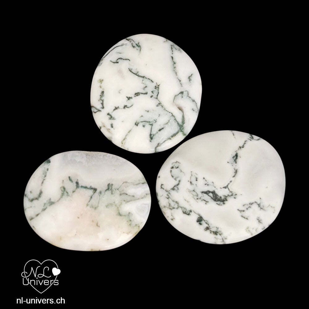 Agate mousse galet