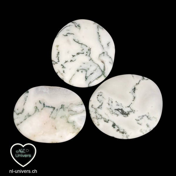 Agate mousse galet
