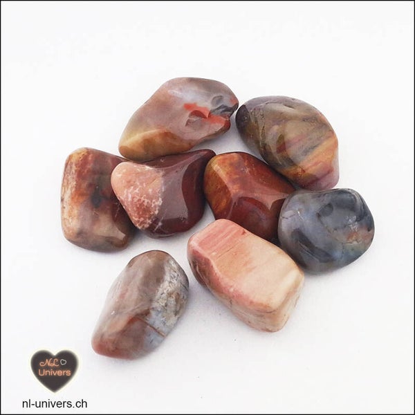 Bois fossile roulée