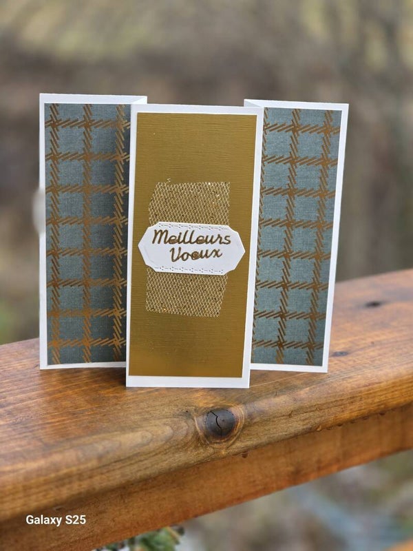 41 - Meilleurs voeux