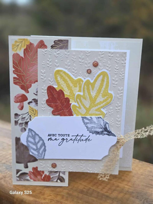 32 - Avec toute ma gratitude