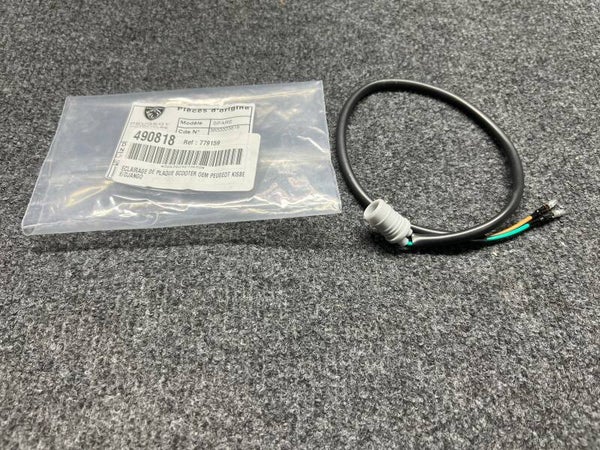 CABLE VEILLEUSE SUPPORT DE PLAQUE ORIGINE PEUGEOT KISBEE 50 MOTO-PAS-CHER