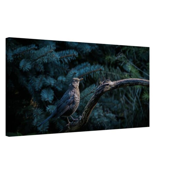 Boslijster op Gebogen Tak – Sfeervolle Natuur Canvas Wanddecoratie