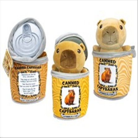 capybara-en-peluche-16-5cm-dans-une-boite-en-peluche-13x18cm-3-assortis-standard.png