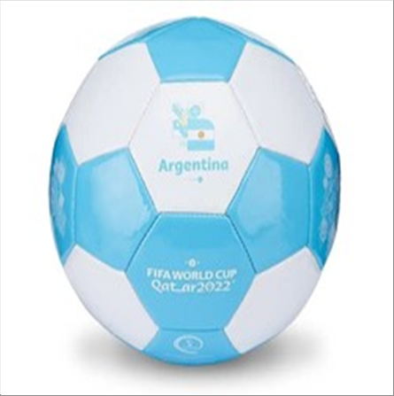 fifa-world-cup-ballon-de-football-taille-2-argentina-standard.png