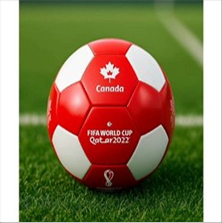 fifa-world-cup-ballon-de-football-taille-2-canada-standard.png