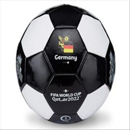 fifa-world-cup-ballon-de-football-taille-2-germany-standard.png