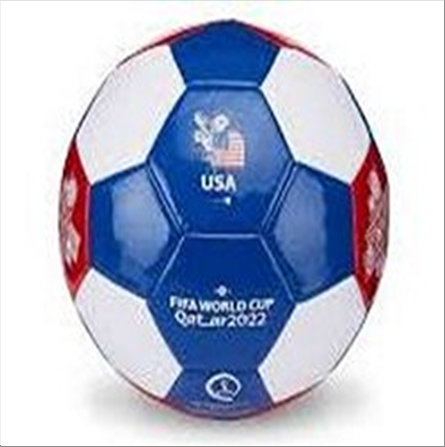 fifa-world-cup-ballon-de-football-taille-2-usa-standard.png