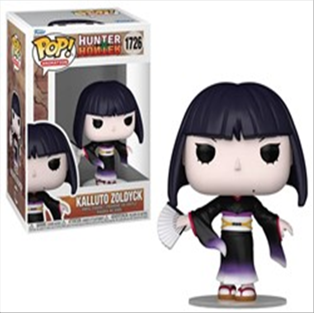 pop-animation-hunterxhunter-kalluto-zoldyck-standard-x6vvbe.png