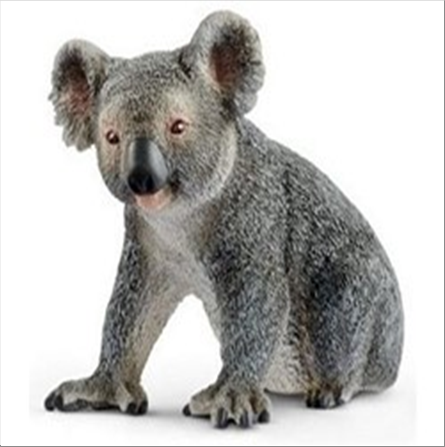 schleich-ours-koala-sauvage-14815-standard.png