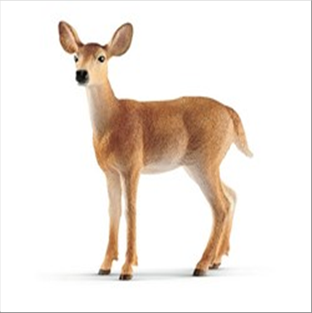 schleich-wild-life-jeune-cerf-de-virginie-5-cm-standard.png