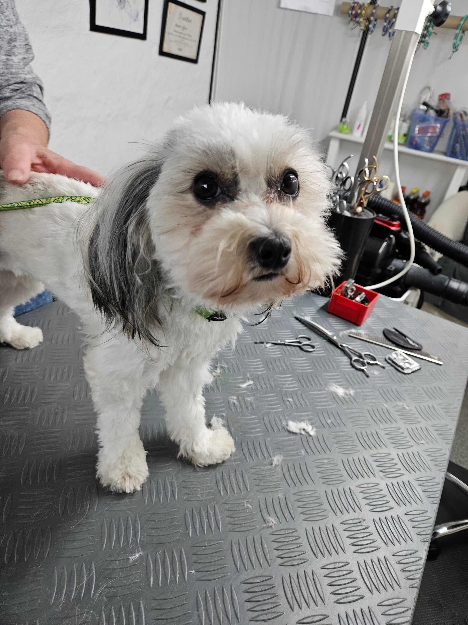 bailey_20250606_142150-standard.jpg