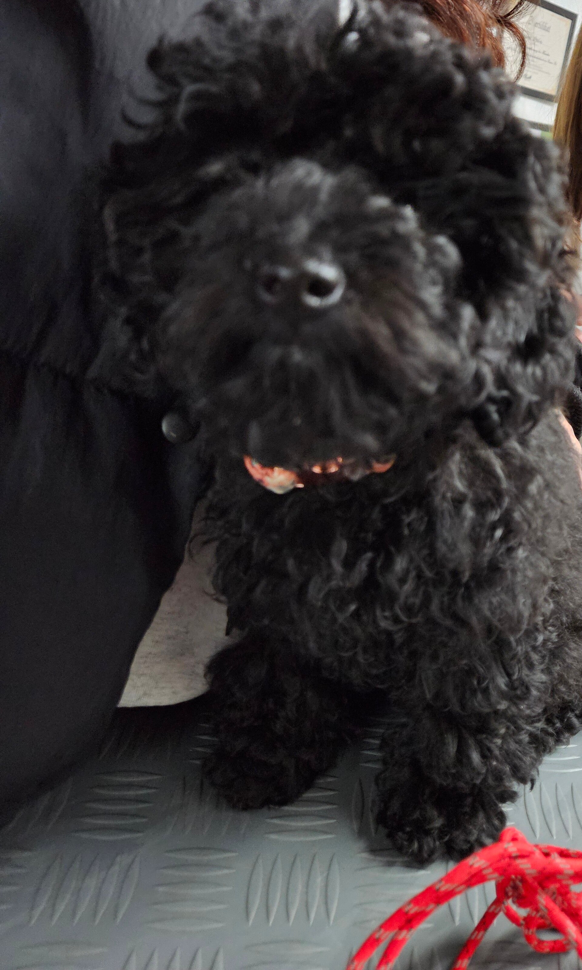 cocco_20260402_134933-standard.jpg