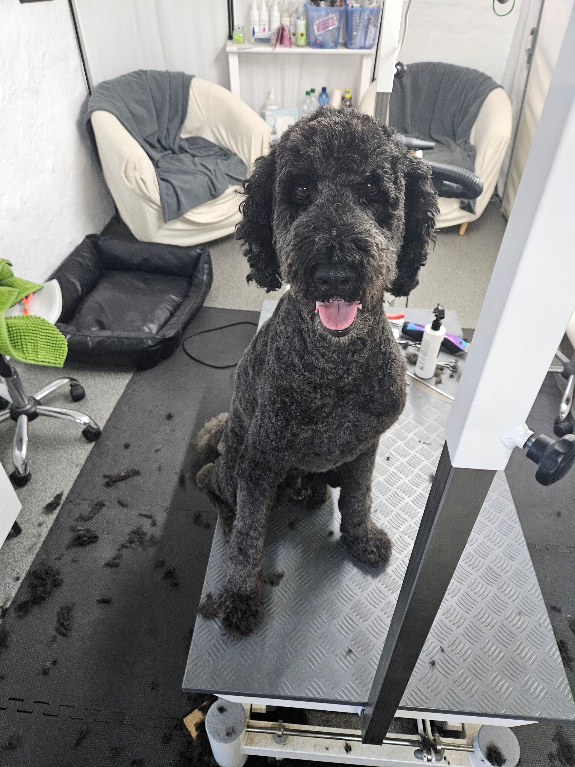 eddy_20251011_143831-1-standard.jpg